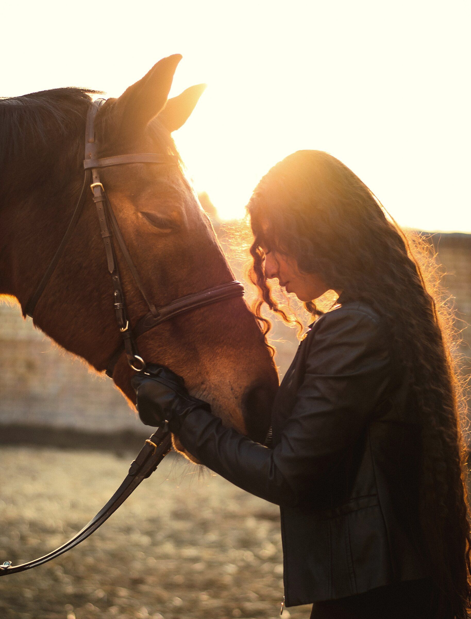 A woman resting her forehead against her horse at golden hour